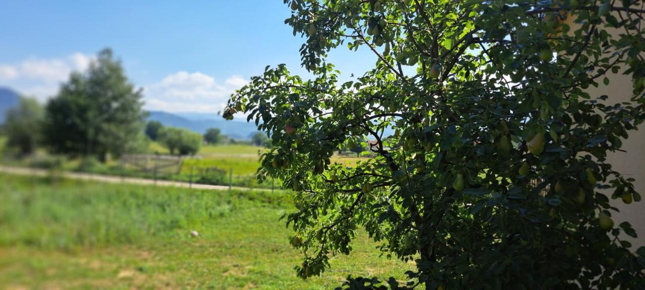 Topla Porodicna Kuca Διαμέρισμα Μπέρανε Εξωτερικό φωτογραφία